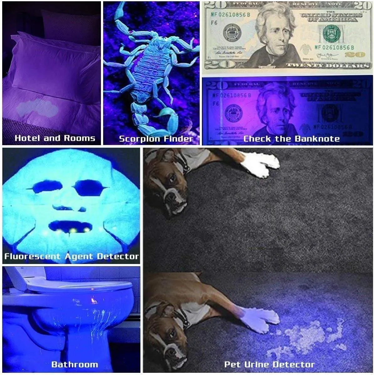 502UV/R Flashlight