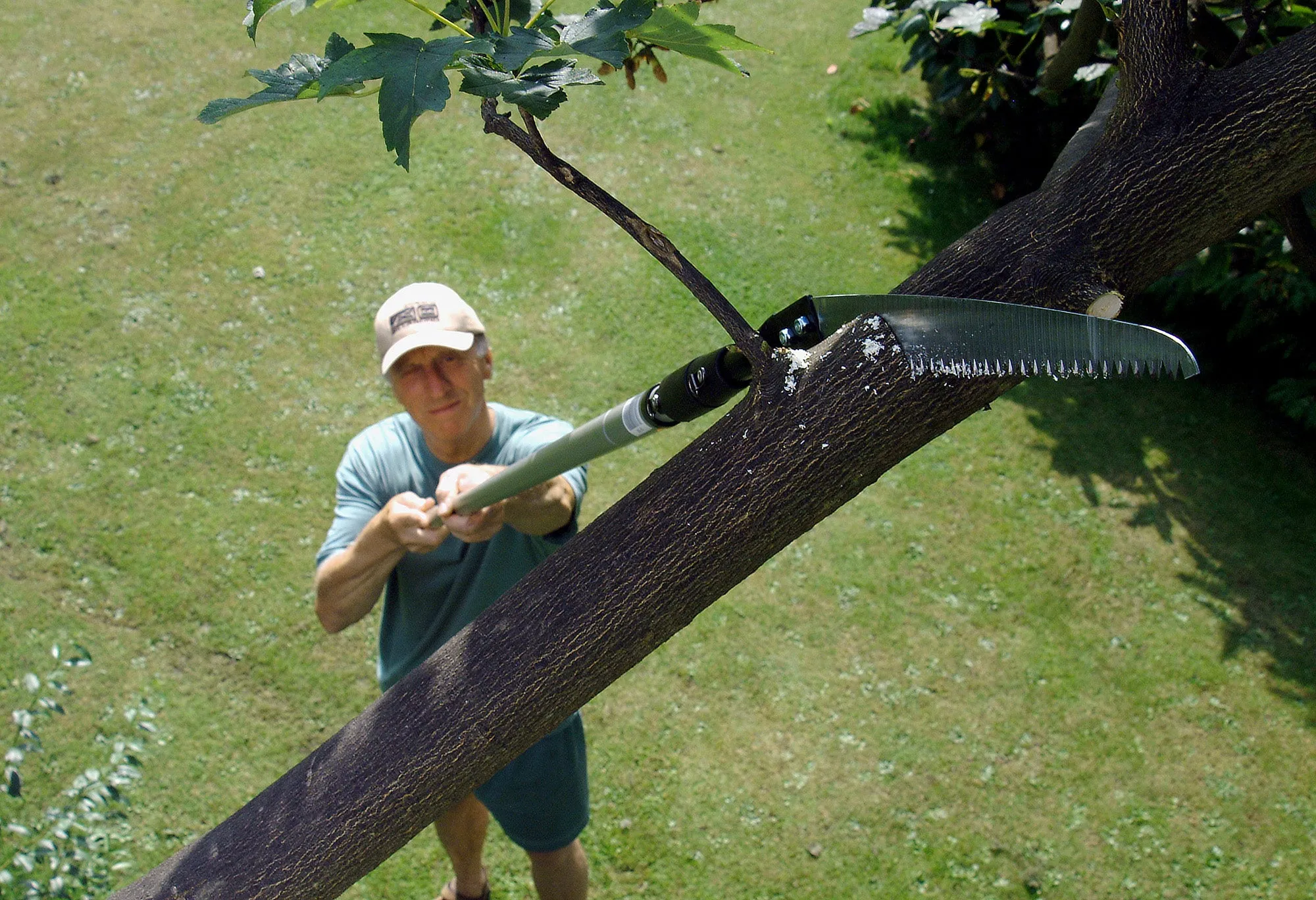 Darlac DP565 S/T Sabre Tooth Saw