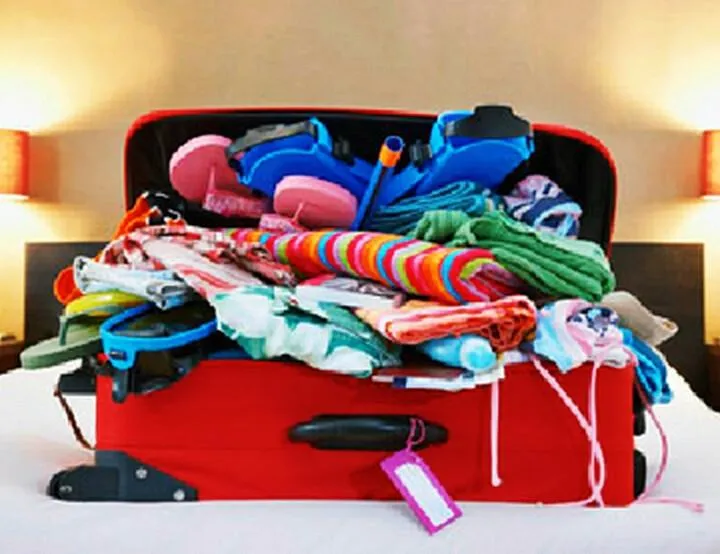 Multi-Purpose Travel Compartment Bag
